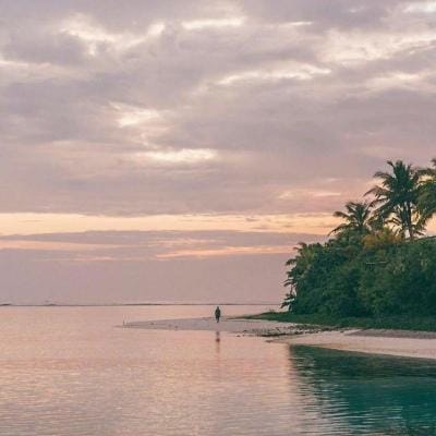 Lê Văn Hậu avatar